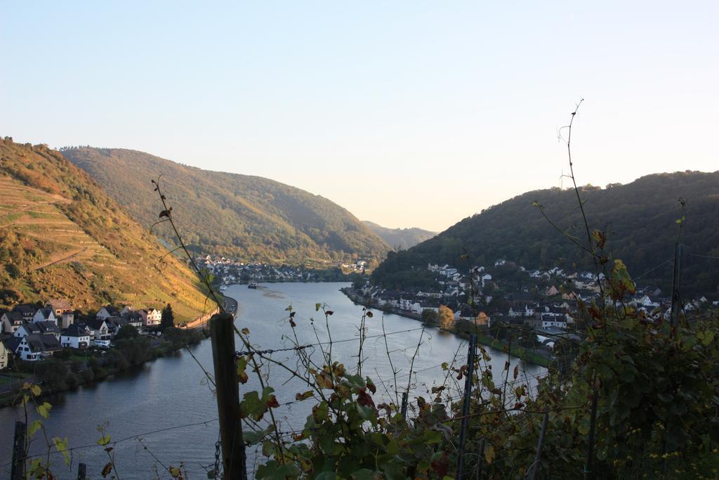 Gaestehaus Burgberg, Weinhaus Fries Kattenes Buitenkant foto